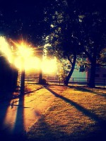 /album/like-ha-tetszik-es-jonnek-az-ujak-d/alap-104-jpg/